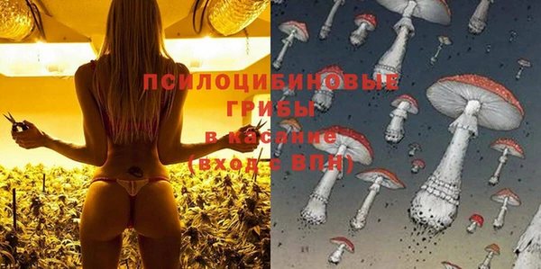 стафф Баксан