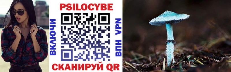 Псилоцибиновые грибы прущие грибы  Покровск 